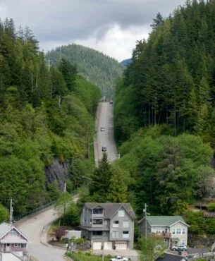 louise-tollisen--7qRFJxLQ2k-unsplash louise-tollisen--7qRFJxLQ2k-unsplash