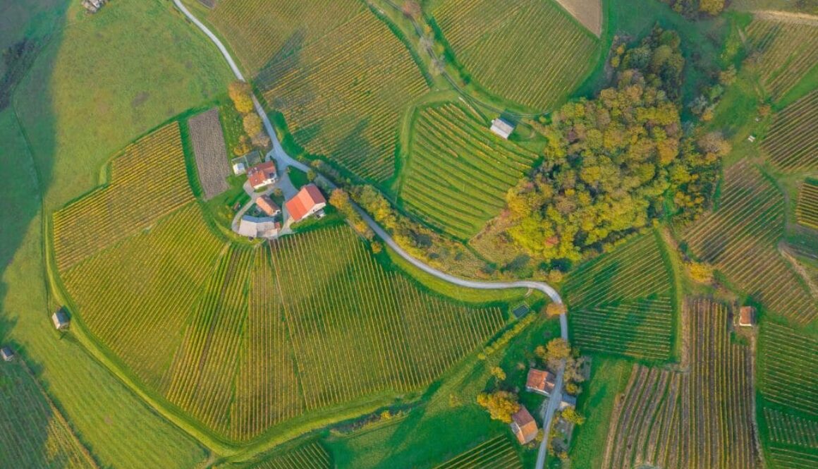 ales-krivec-aLcmMPyaf4E-unsplash