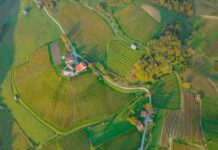 ales-krivec-aLcmMPyaf4E-unsplash