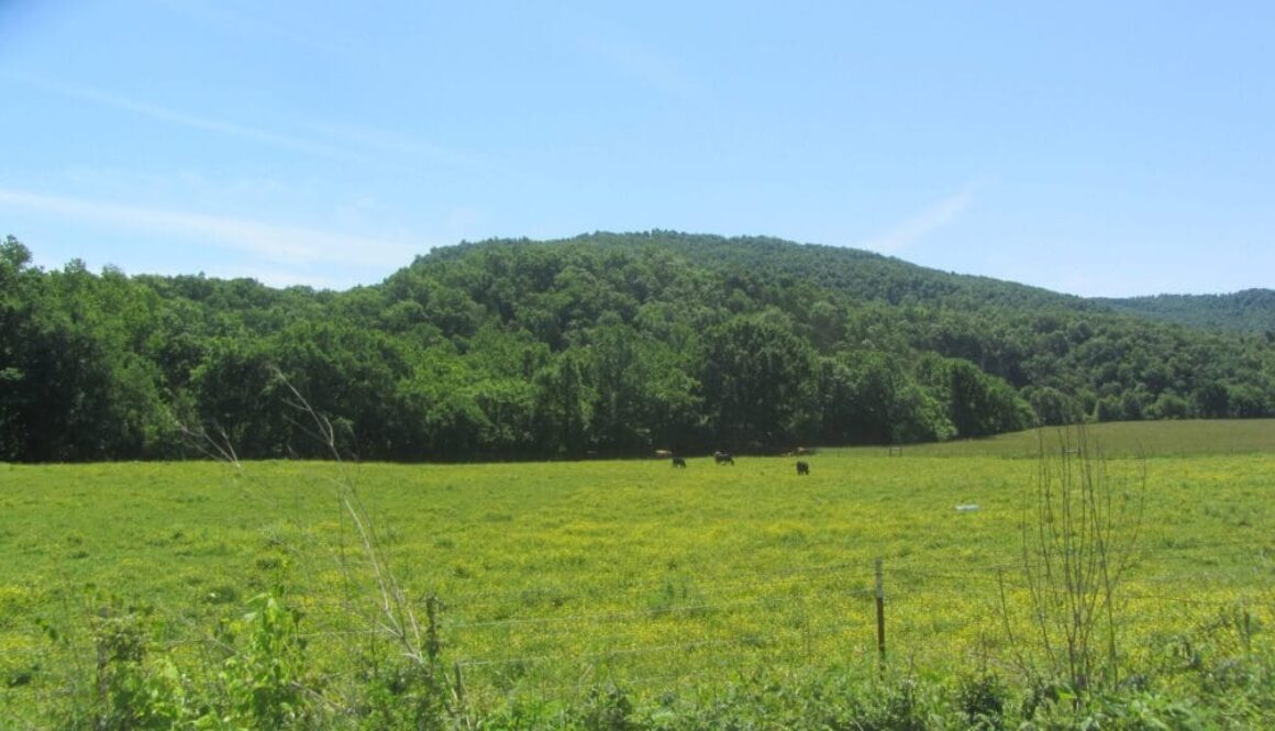 pasture-Newton-County-Arkansas-scaled
