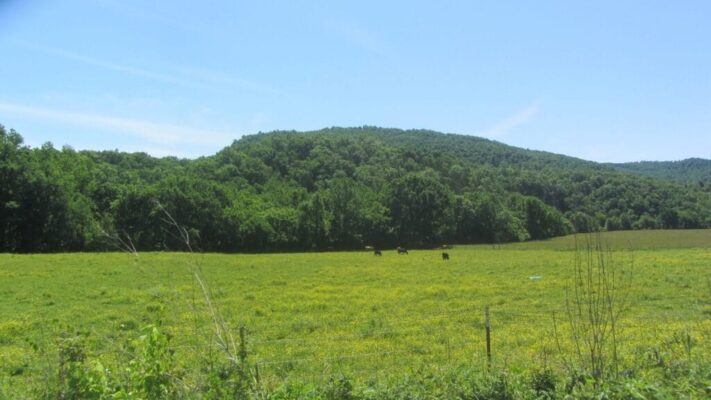 pasture-Newton-County-Arkansas-scaled