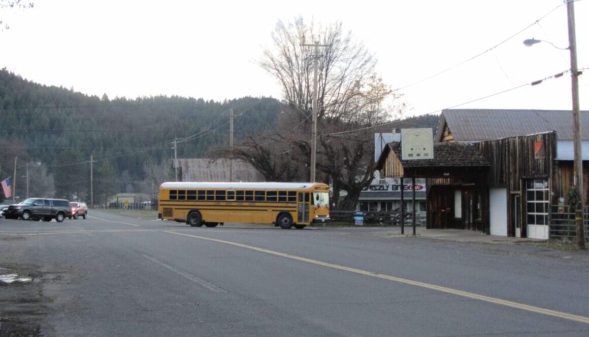 Greenville-Callifornia-school-bus-2012-1-scaled