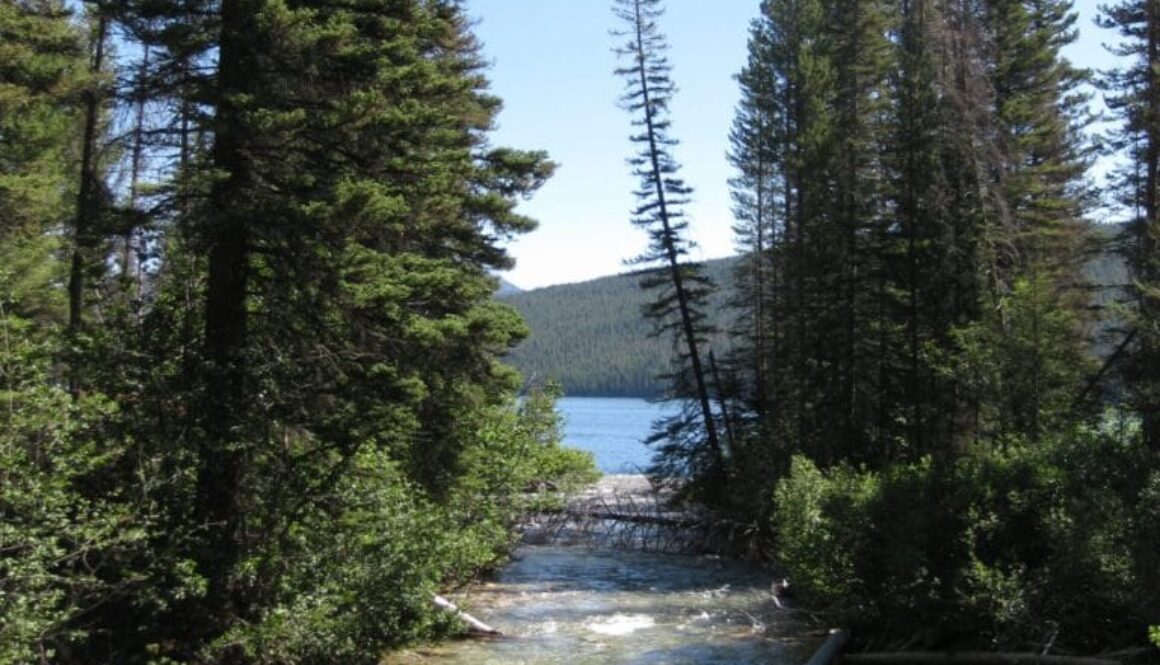 Near-Stanley-Idaho-Scenic-2011-scaled