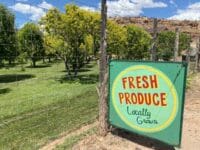 tempImagetP7g1K-scaled