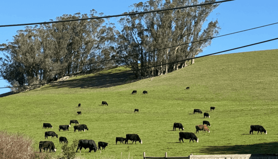 Screenshot-2026-04-07-at-4.03.03-PM