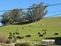 Screenshot-2026-04-07-at-4.03.03-PM