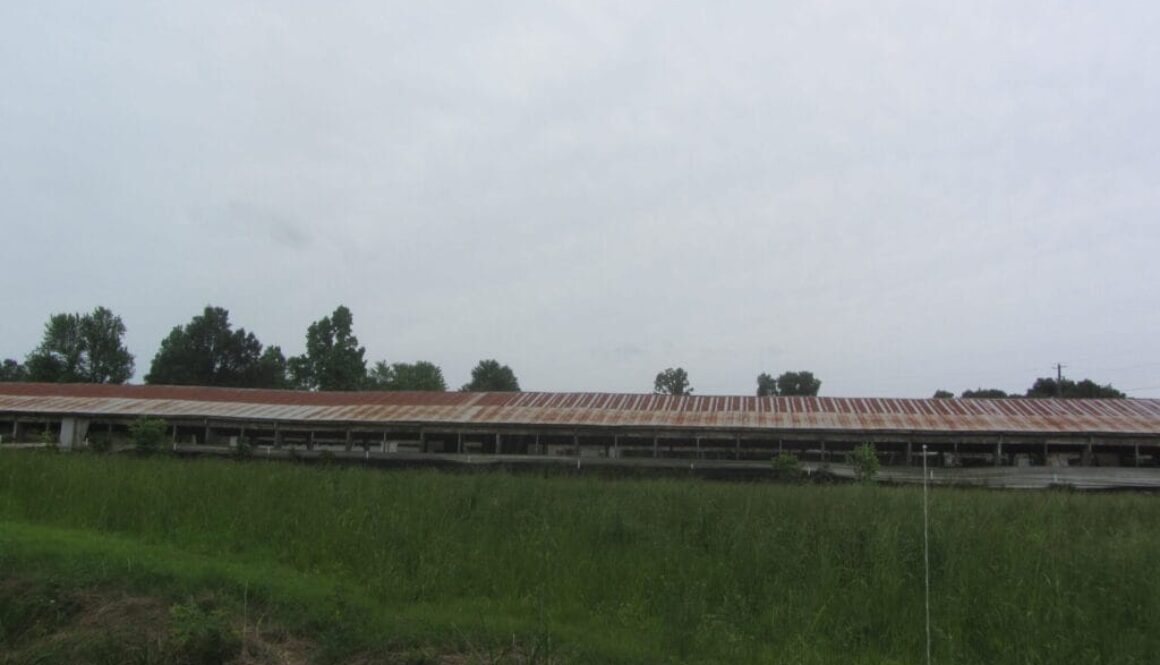 old-chicken-coops-from-distance-NWA-Arkansas-scaled