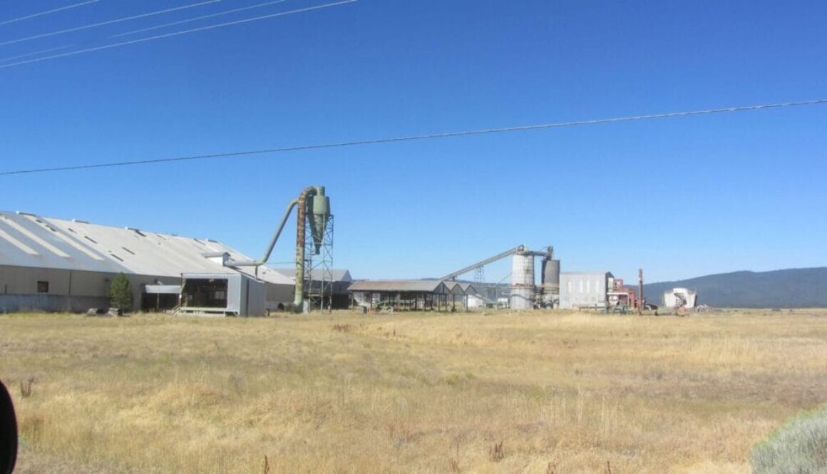 Ag-Scenes-Big-Valley-Cal-Shasta-County-2016-6-scaled