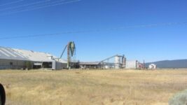 Ag-Scenes-Big-Valley-Cal-Shasta-County-2016-6-scaled