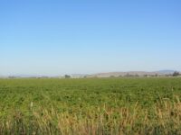 Farm-fields-Merrill-Klamath-County-Oregon-2016-scaled