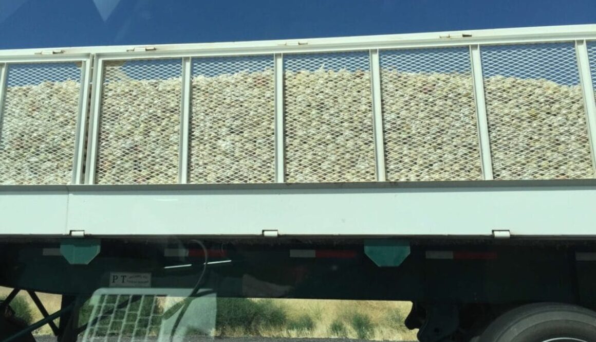 Truckload-of-onions-Central-Valley-CA-2019-scaled