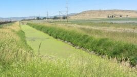 water-ditch-upper-Klamath-Basin-Oregon-2016-scaled